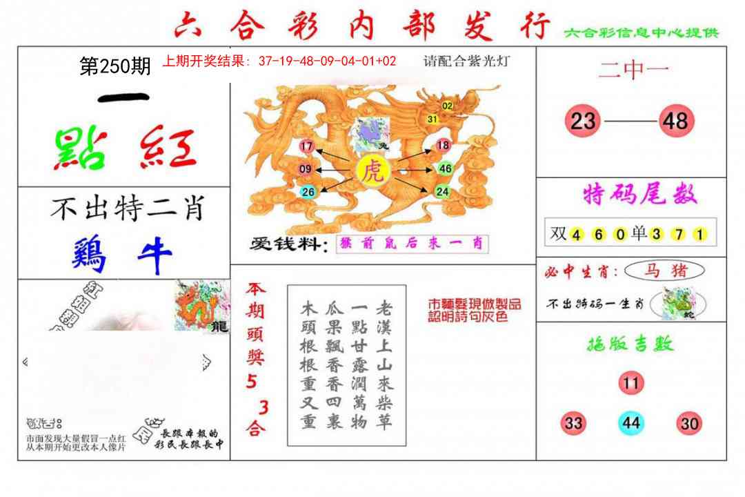 250期一点红[图]