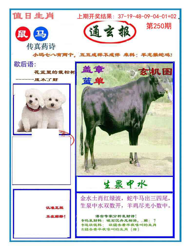 250期通玄报[图]
