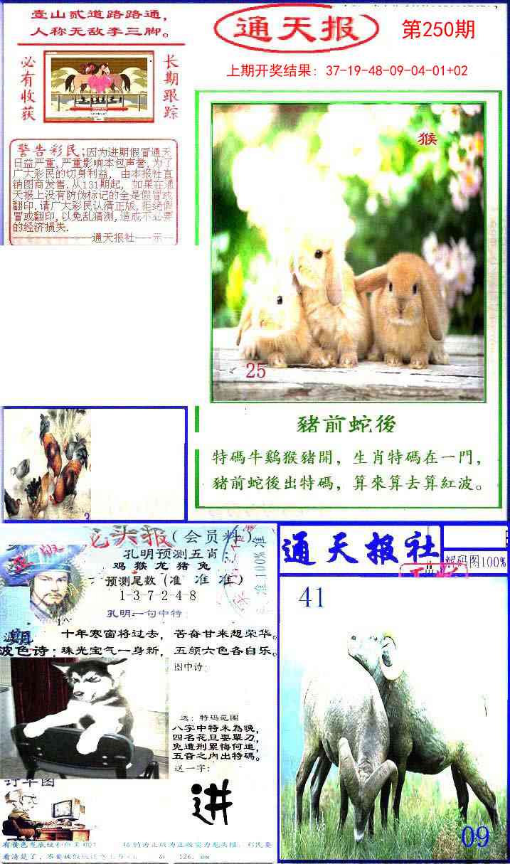250期实力通天报[图]