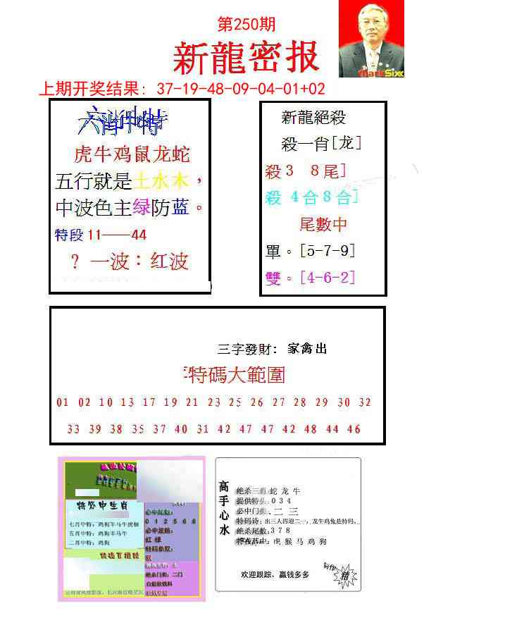 250期新龙密报[图]