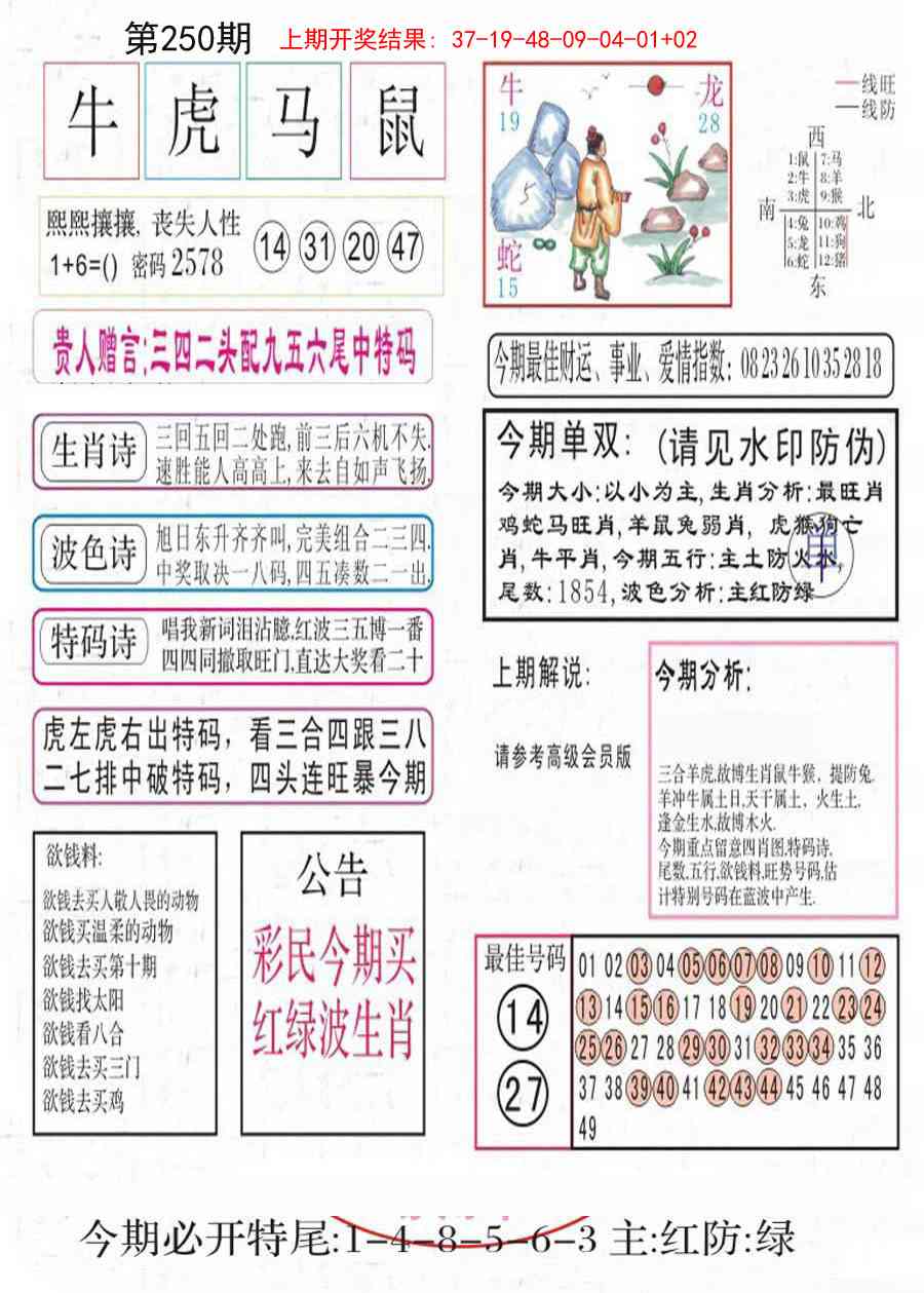 250期凤凰闲情A[图]