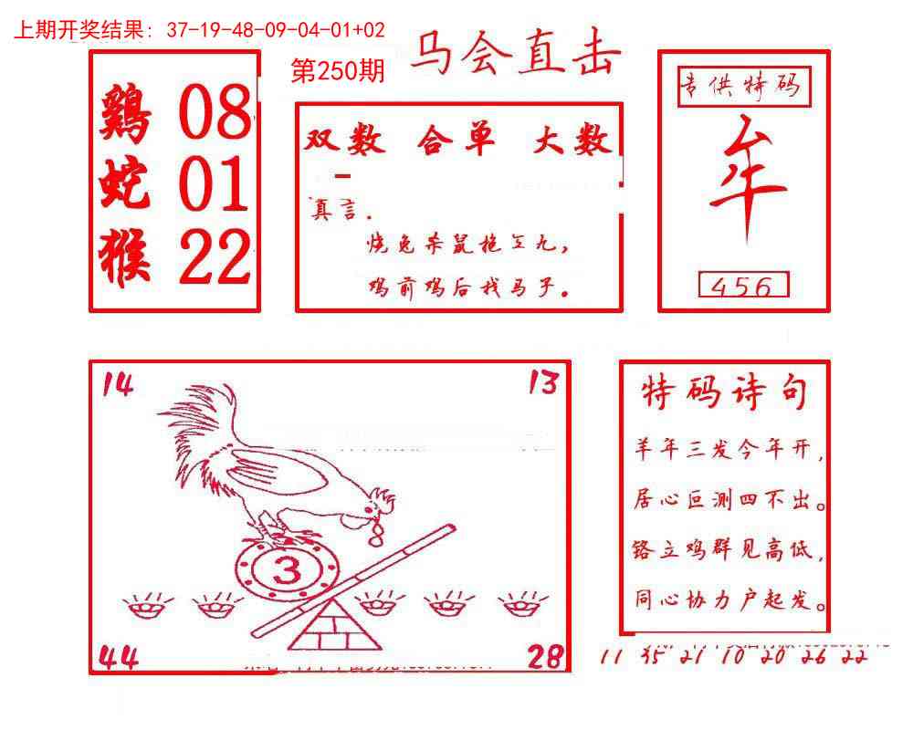 250期马会直击[图]