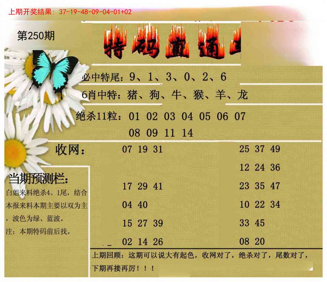 250期特码直通车[图]