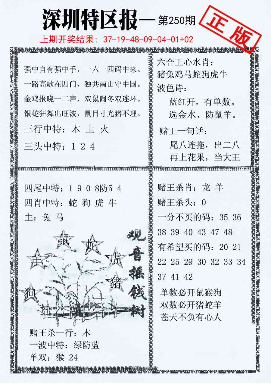 250期深圳特区报A[图]