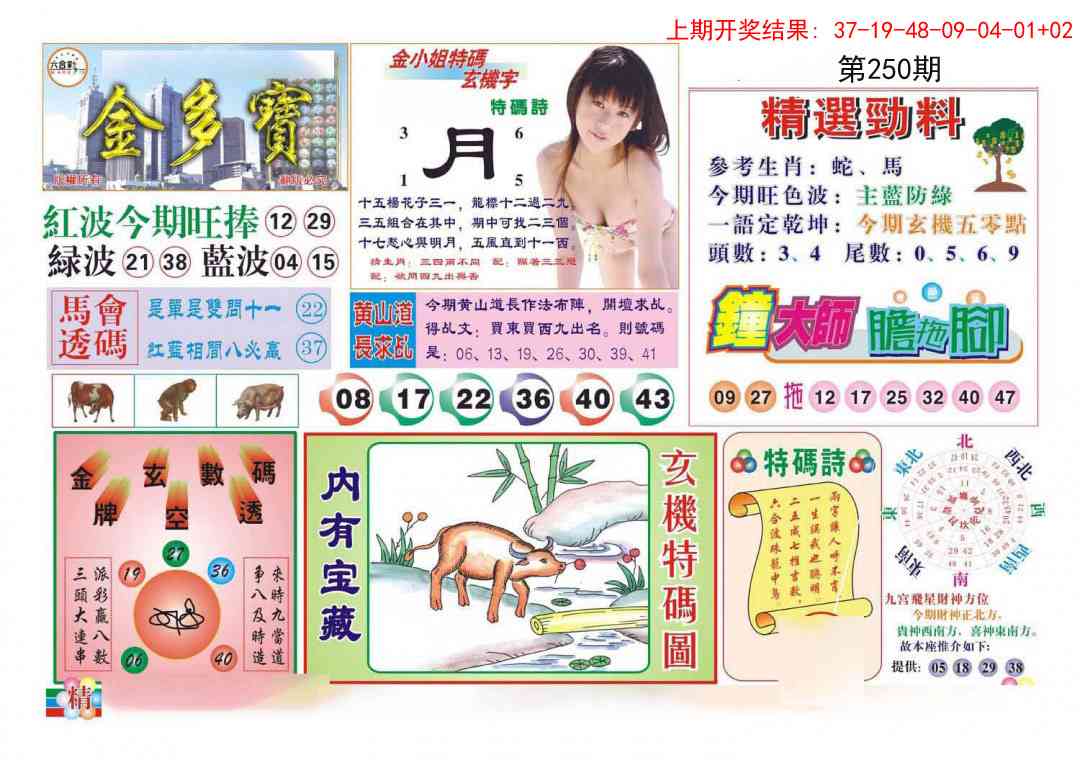 250期金多宝[图]