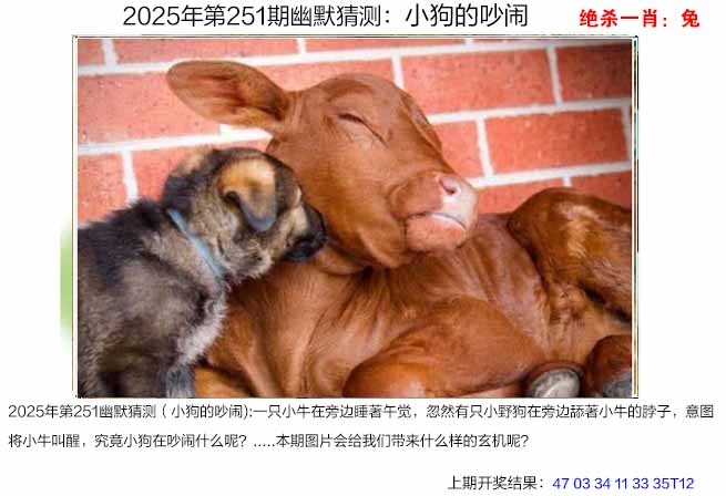 251期幽默猜测[图]