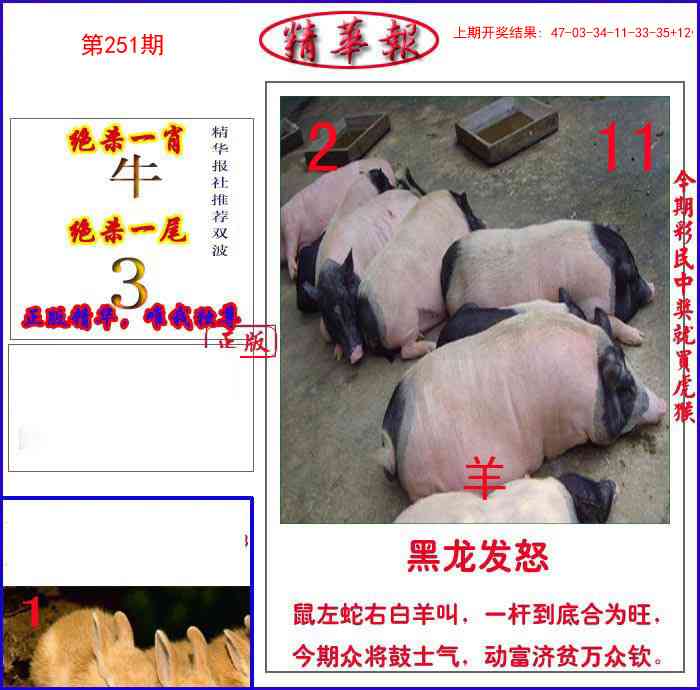 251期新精华报报[图]