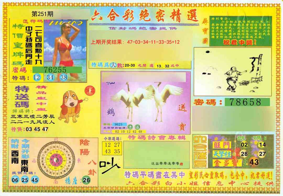 251期绝密精选A[图]