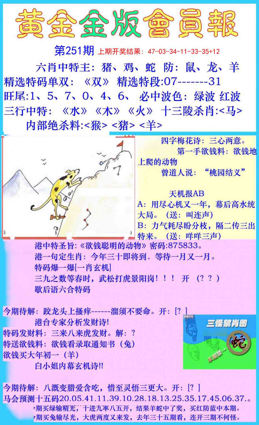 251期黄金金版会员报[图]