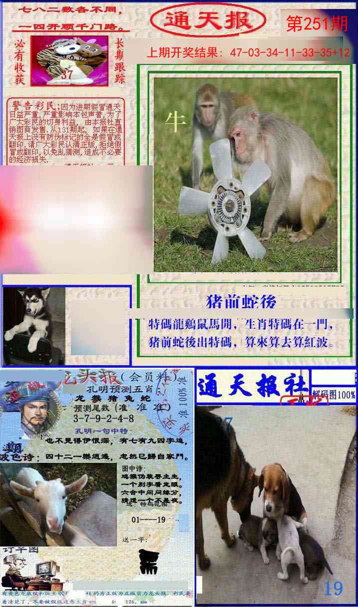 251期实力通天报[图]