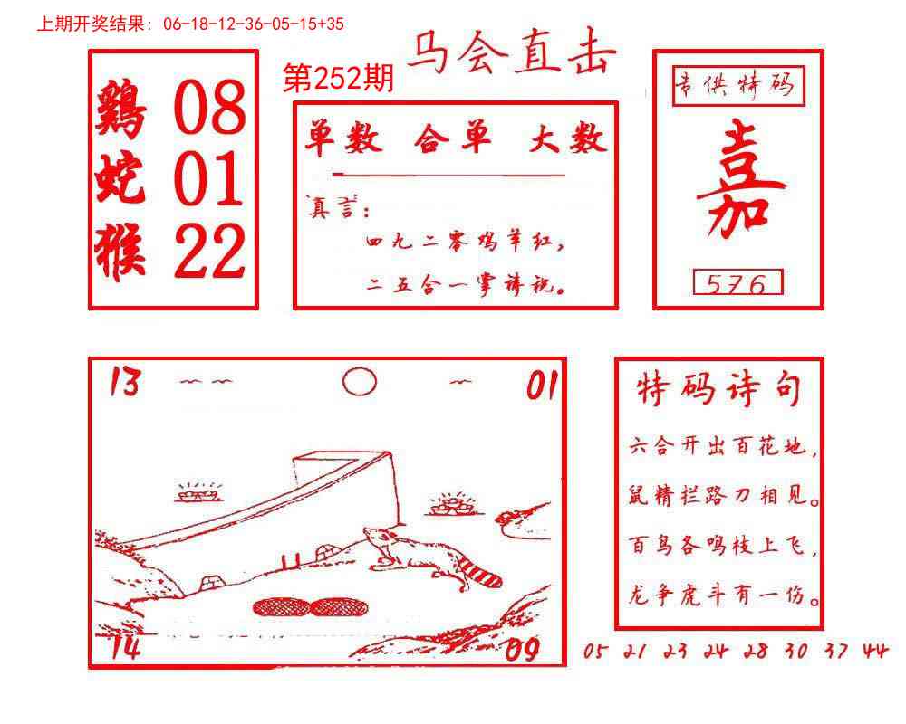252期马会直击[图]