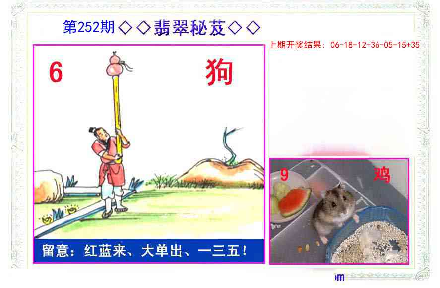 252期翡翠报[图]