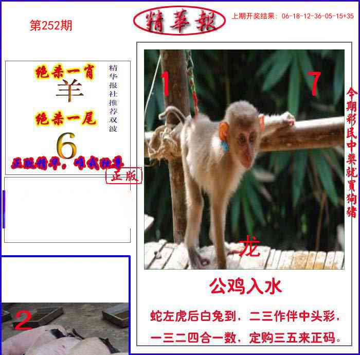 252期新精华报报[图]