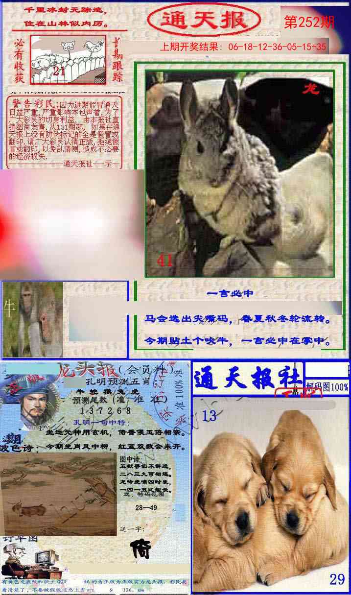 252期实力通天报[图]
