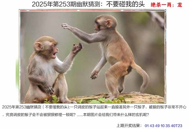 253期幽默猜测[图]