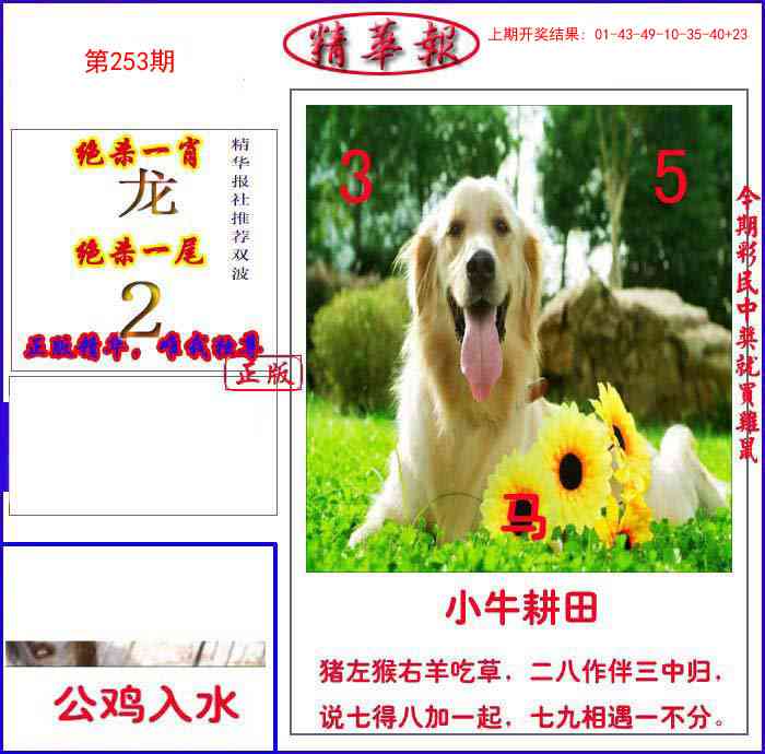 253期新精华报报[图]
