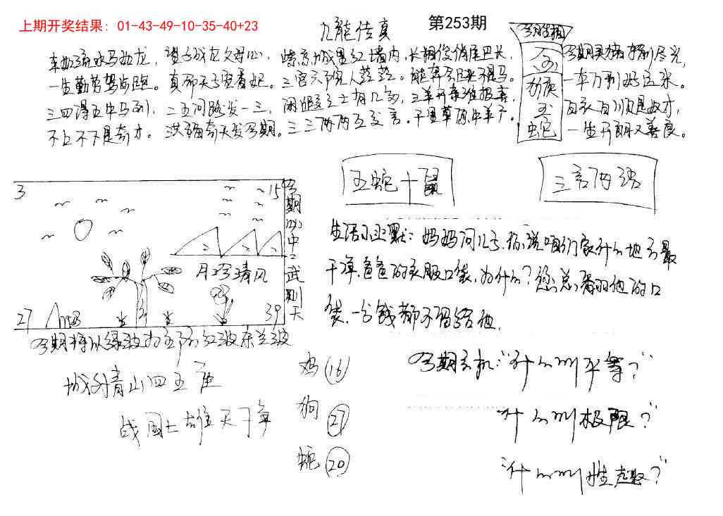 253期手写九龙内幕[图]