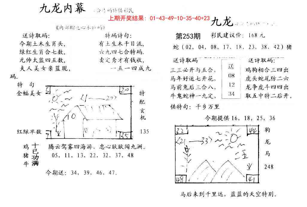253期九龙内幕[图]