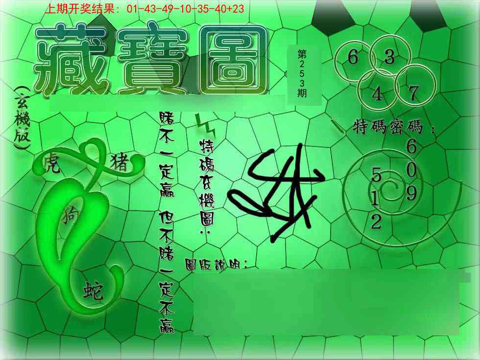 253期九龍玄机报[图]