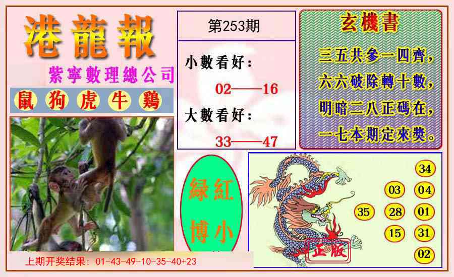 253期港龙报[图]