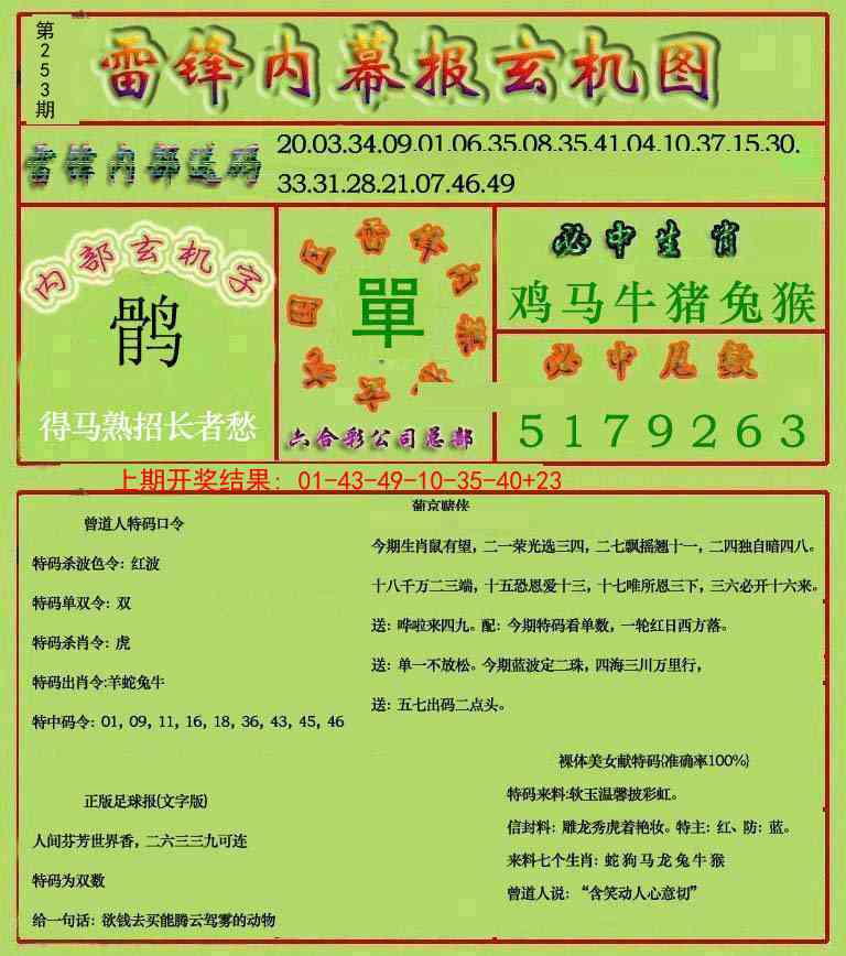 253期雷锋玄机报[图]