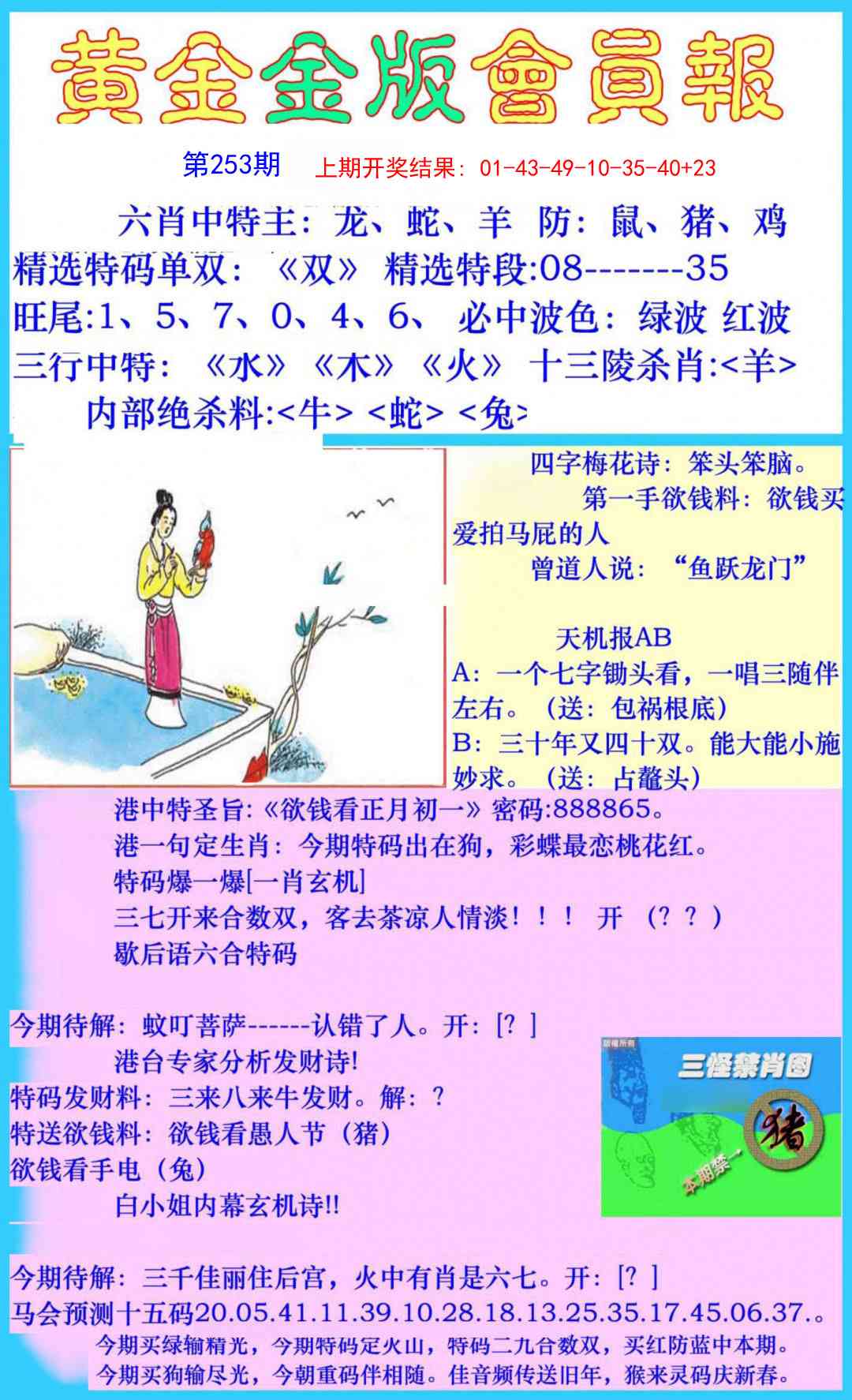 253期黄金金版会员报[图]