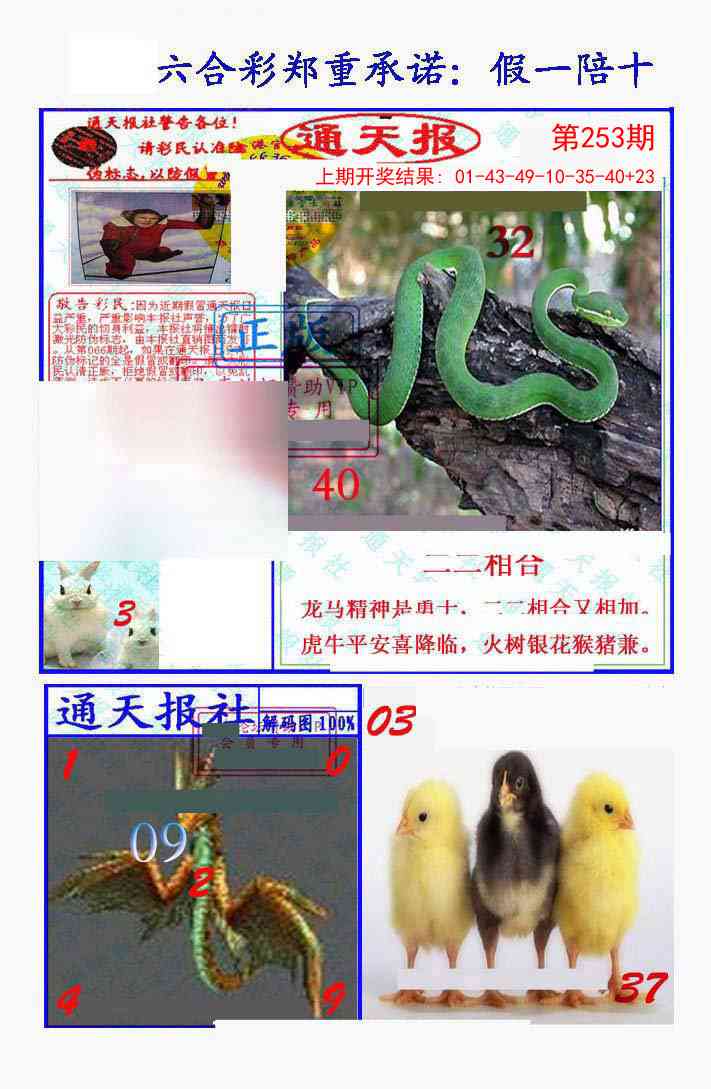 253期假一陪十通天报[图]