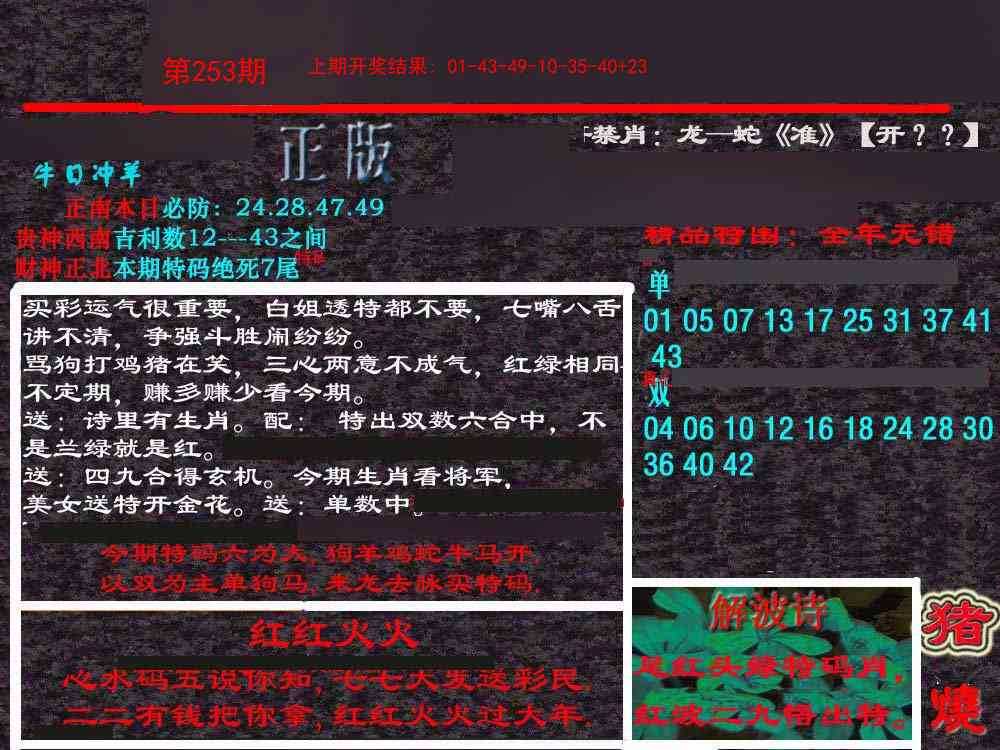 253期新港内幕[图]