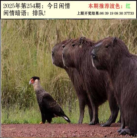 254期今日闲情2[图]