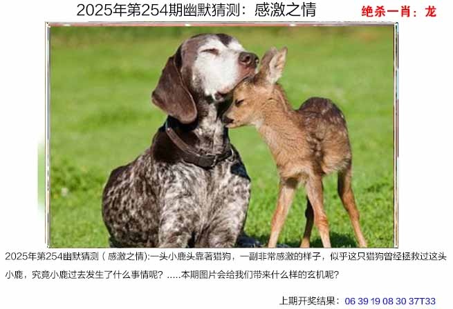 254期幽默猜测[图]