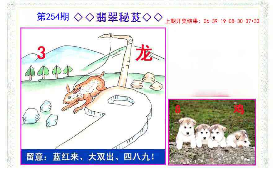 254期翡翠报[图]