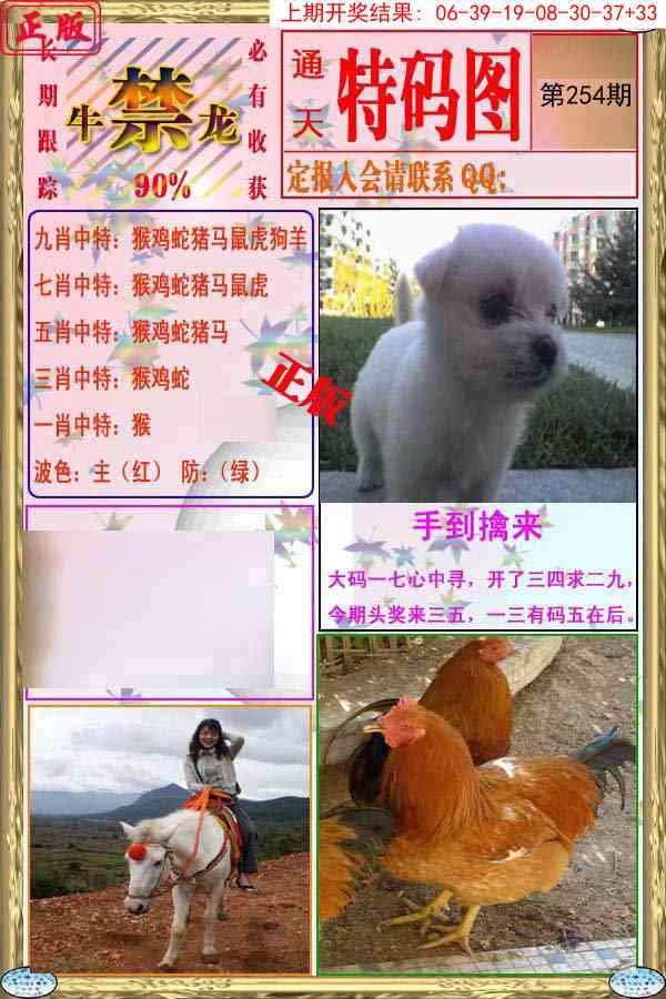 254期特码图[图]