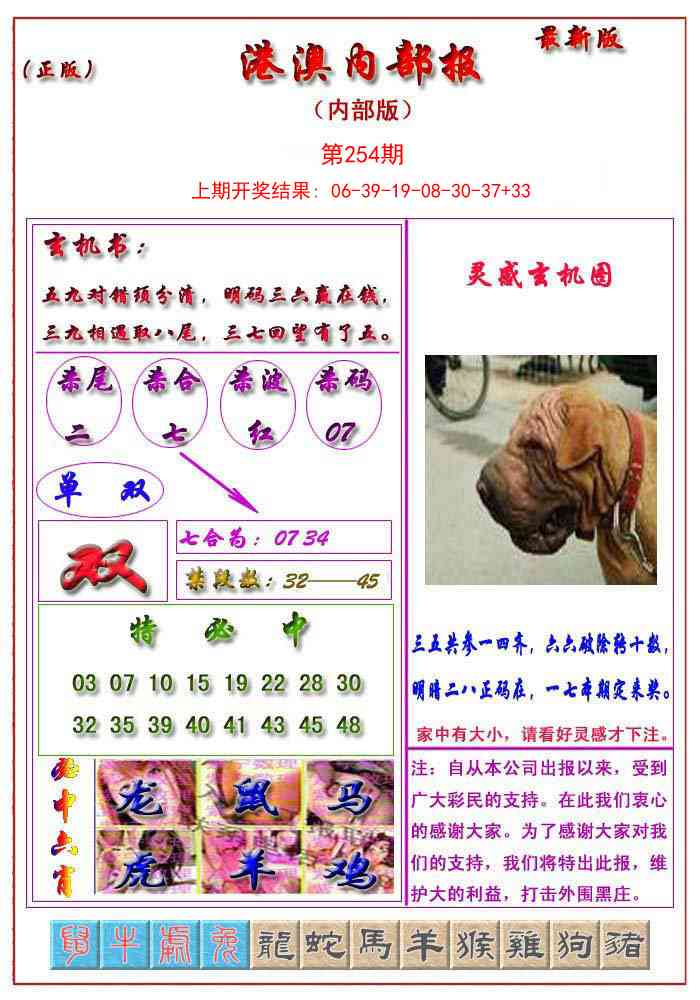 254期港澳报[图]