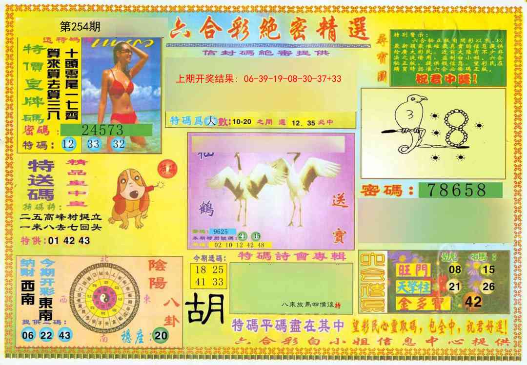 254期绝密精选A[图]