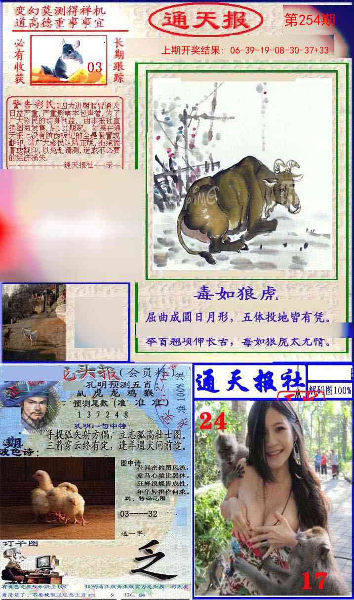 254期实力通天报[图]