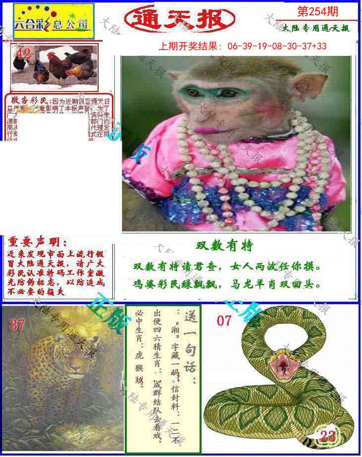 254期大陆通天报[图]