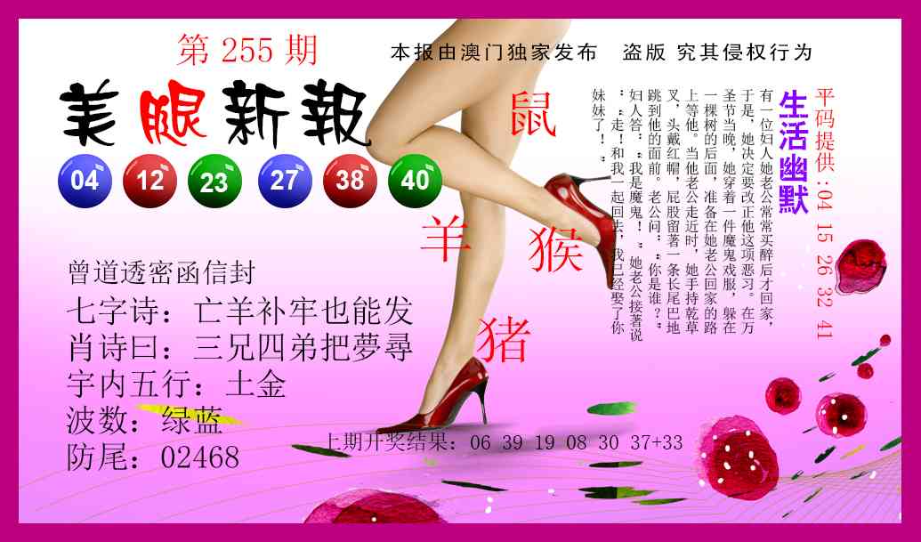 254期美腿新报[图]