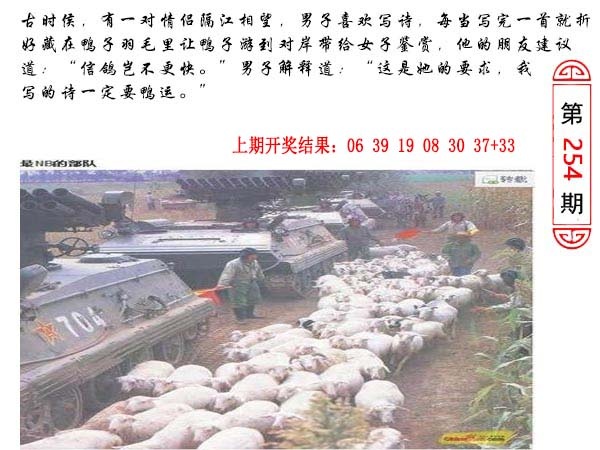 254期澳门生活幽默[图]