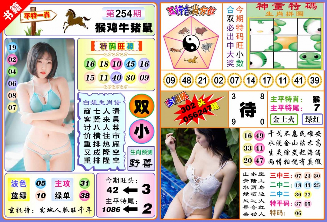 254期澳门五行白姐[图]
