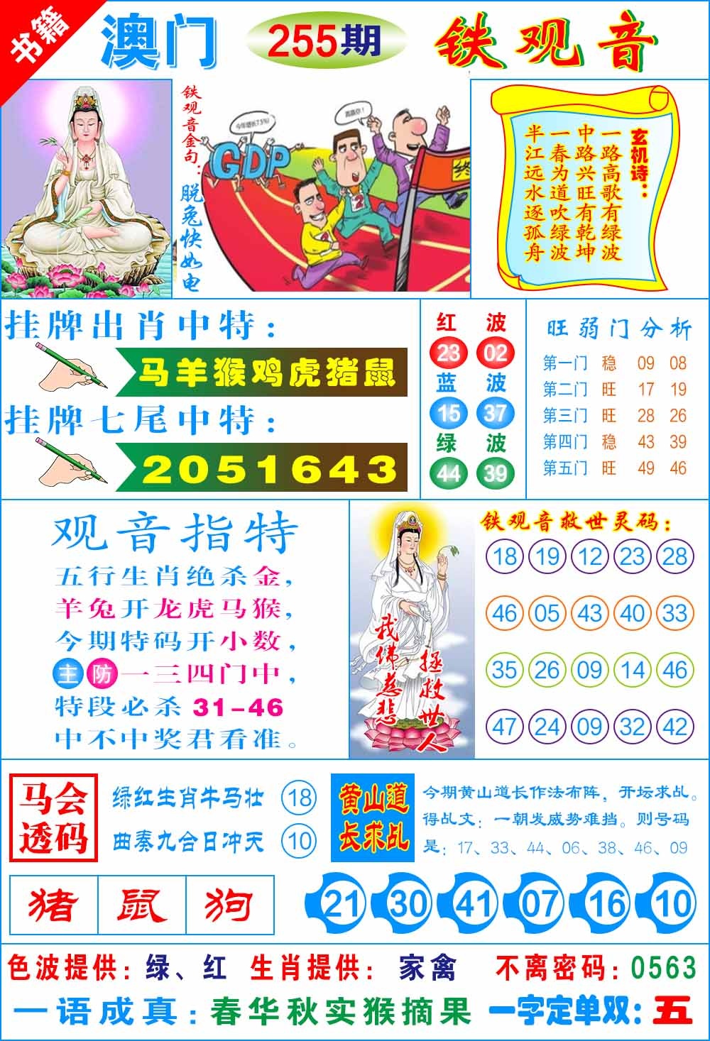 255期澳门铁观音[图]