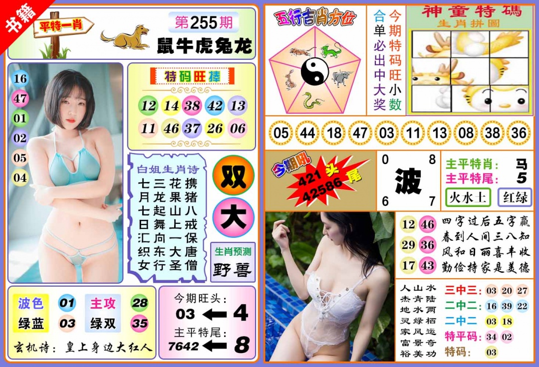 255期澳门五行白姐[图]