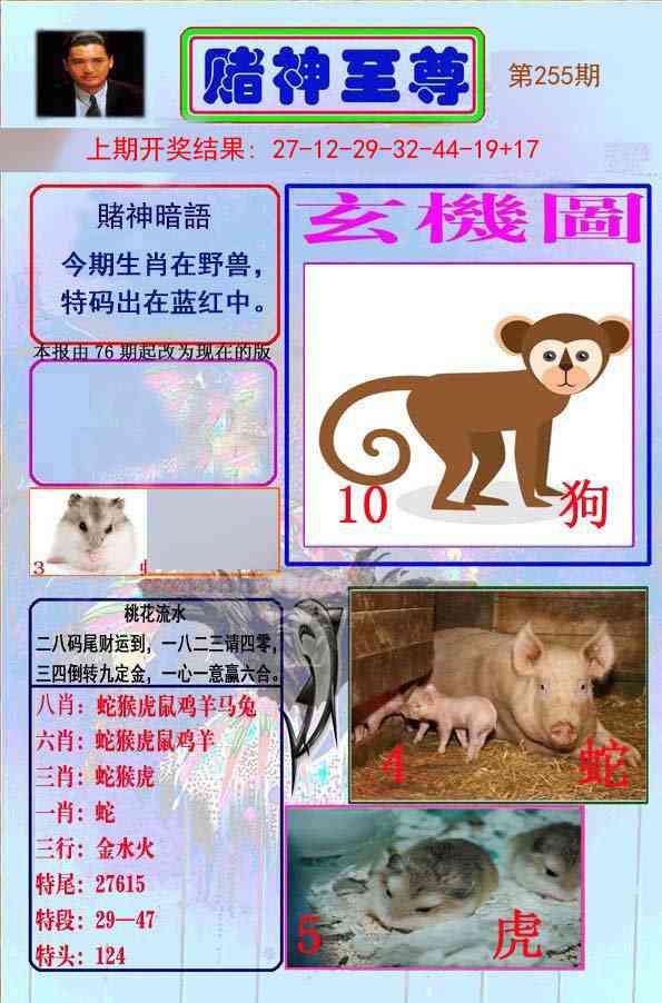 255期赌神至尊[图]