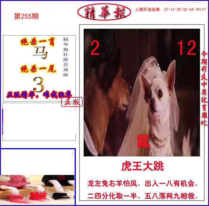 255期新精华报报[图]