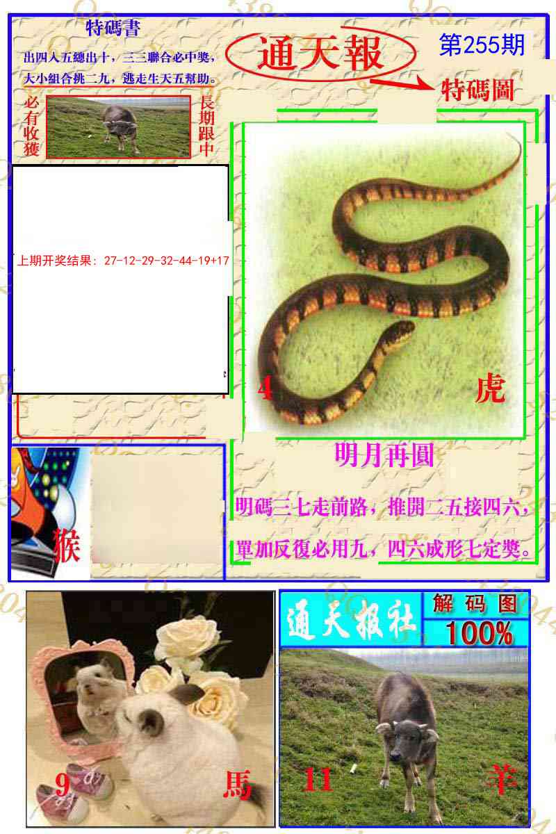 255期通天特解图[图]