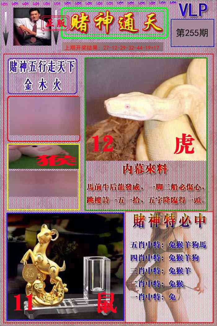 255期赌神通天报[图]