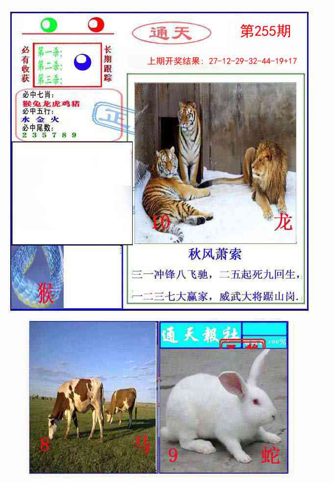 255期通天杀波图2[图]