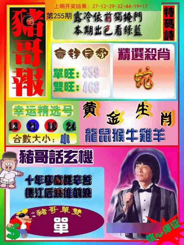 255期猪哥报[图]