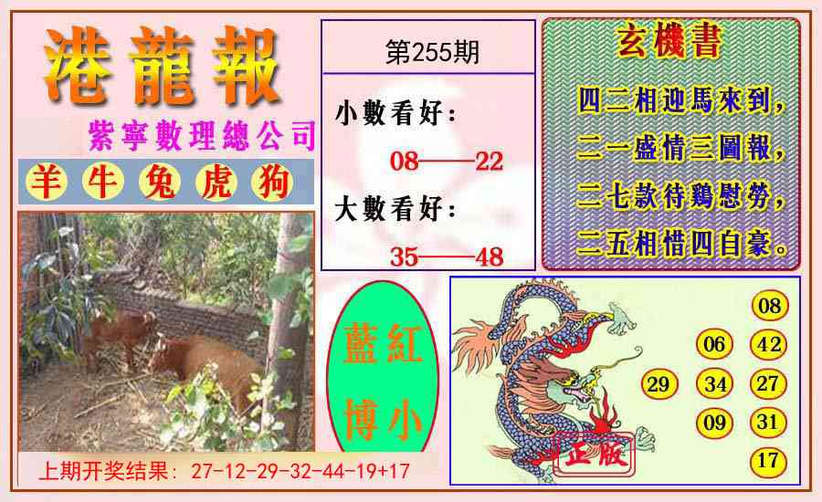 255期港龙报[图]