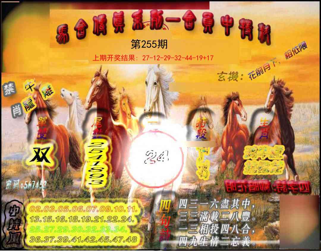 255期马会传真-会员报[图]