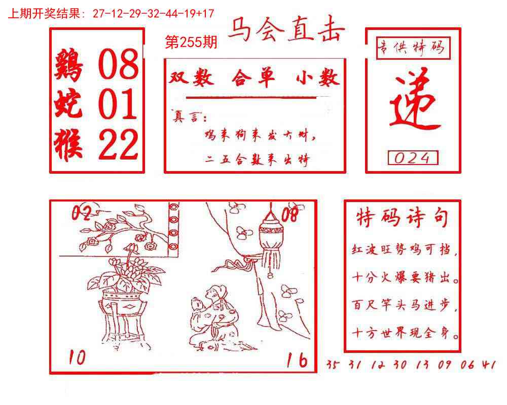 255期马会直击[图]